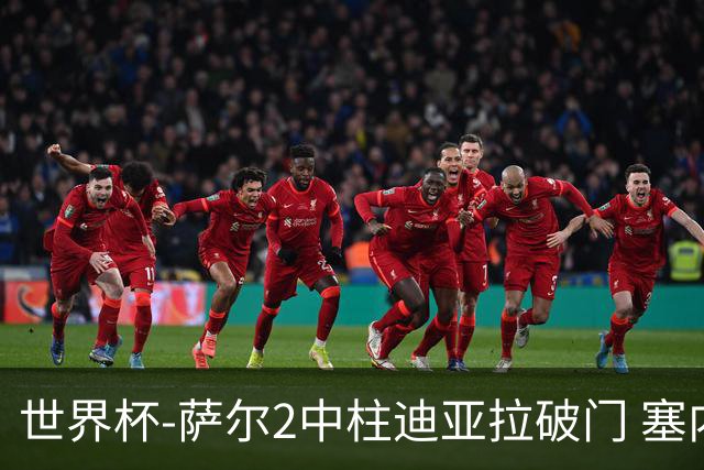 世界杯-萨尔2中柱迪亚拉破门 塞内加尔半场暂1-0比利时