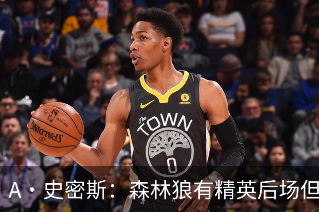 A·史密斯：森林狼有精英后场但体型变小 难应对雷霆马刺火箭掘金